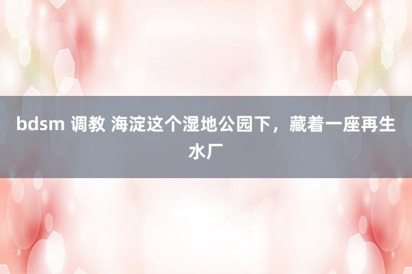 bdsm 调教 海淀这个湿地公园下，藏着一座再生水厂