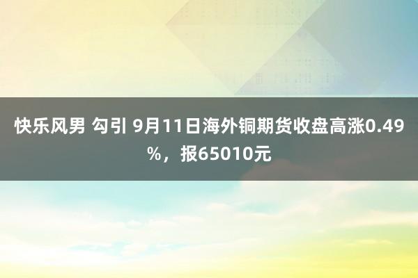 快乐风男 勾引 9月11日海外铜期货收盘高涨0.49%，报65010元