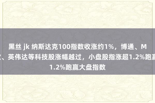 黑丝 jk 纳斯达克100指数收涨约1%，博通、Meta、谷歌、英伟达等科技股涨幅越过，小盘股指涨超1.2%跑赢大盘指数