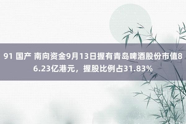 91 国产 南向资金9月13日握有青岛啤酒股份市值86.23亿港元，握股比例占31.83%