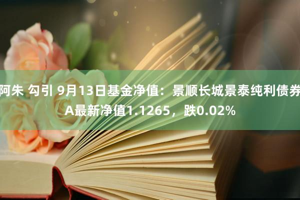 阿朱 勾引 9月13日基金净值：景顺长城景泰纯利债券A最新净值1.1265，跌0.02%