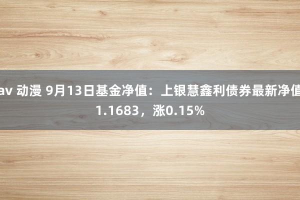 av 动漫 9月13日基金净值：上银慧鑫利债券最新净值1.1683，涨0.15%