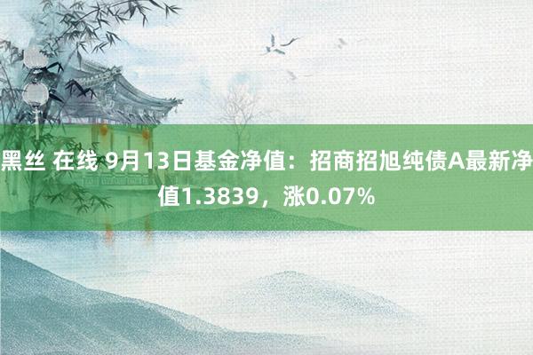 黑丝 在线 9月13日基金净值：招商招旭纯债A最新净值1.3839，涨0.07%