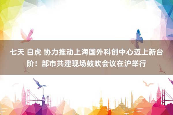 七天 白虎 协力推动上海国外科创中心迈上新台阶！部市共建现场鼓吹会议在沪举行