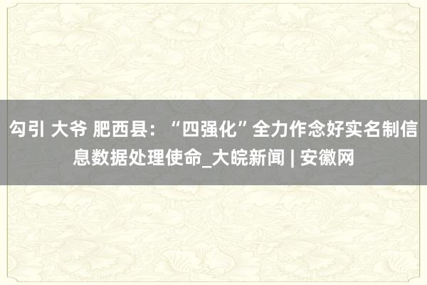 勾引 大爷 肥西县：“四强化”全力作念好实名制信息数据处理使命_大皖新闻 | 安徽网