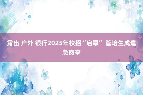 露出 户外 银行2025年校招“启幕” 管培生成遑急岗亭