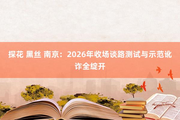 探花 黑丝 南京：2026年收场谈路测试与示范讹诈全绽开