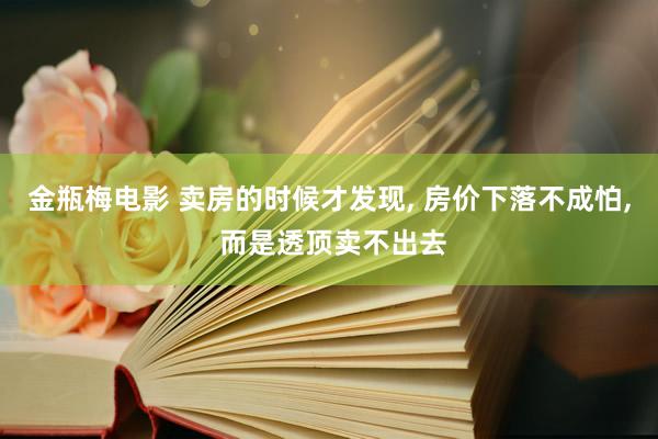 金瓶梅电影 卖房的时候才发现， 房价下落不成怕， 而是透顶卖不出去