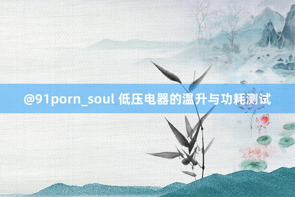 @91porn_soul 低压电器的温升与功耗测试