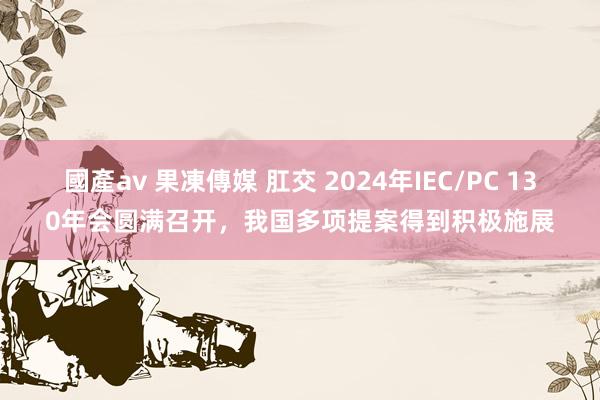 國產av 果凍傳媒 肛交 2024年IEC/PC 130年会圆满召开，我国多项提案得到积极施展