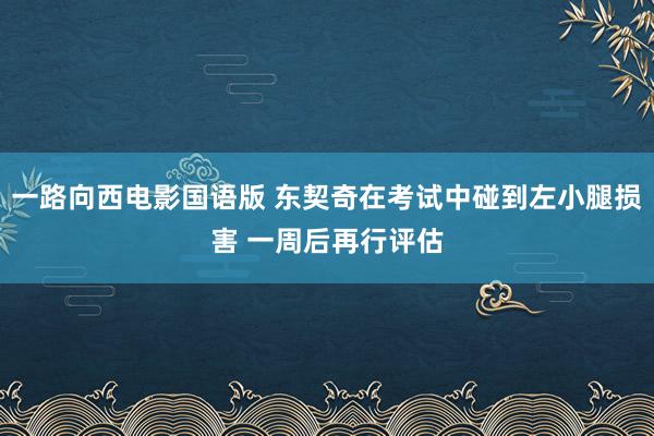 一路向西电影国语版 东契奇在考试中碰到左小腿损害 一周后再行评估