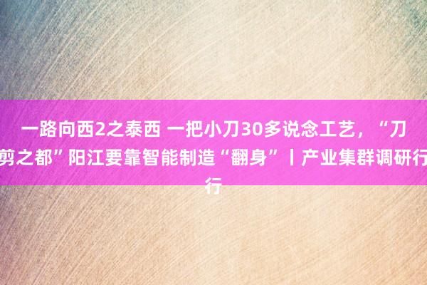 一路向西2之泰西 一把小刀30多说念工艺，“刀剪之都”阳江要靠智能制造“翻身”丨产业集群调研行