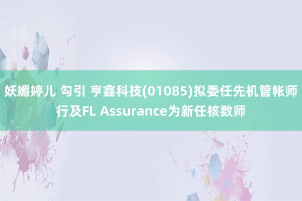 妖媚婷儿 勾引 亨鑫科技(01085)拟委任先机管帐师行及FL Assurance为新任核数师