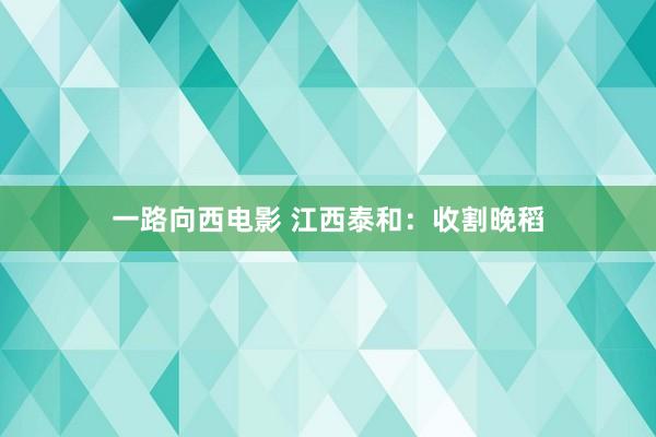 一路向西电影 江西泰和：收割晚稻