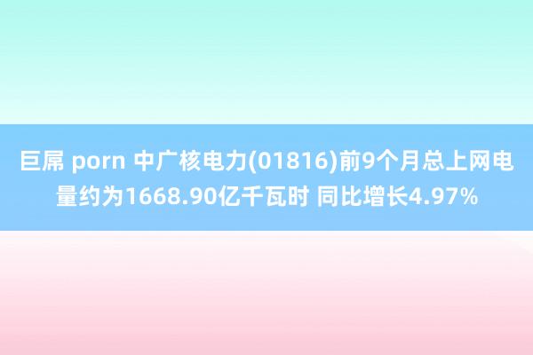 巨屌 porn 中广核电力(01816)前9个月总上网电量约为1668.90亿千瓦时 同比增长4.97%