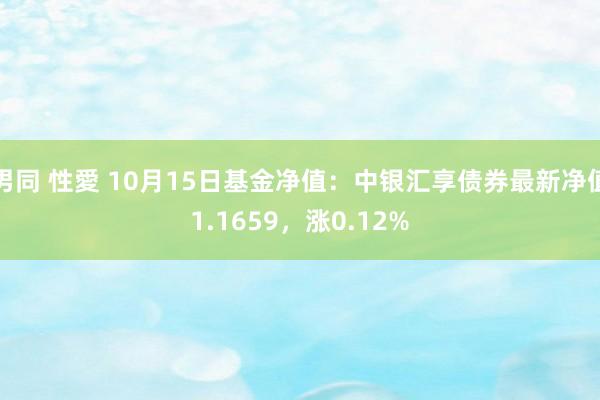 男同 性愛 10月15日基金净值：中银汇享债券最新净值1.1659，涨0.12%