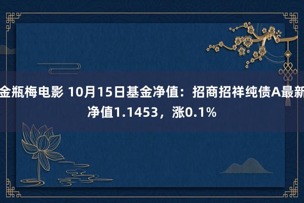 金瓶梅电影 10月15日基金净值：招商招祥纯债A最新净值1.1453，涨0.1%