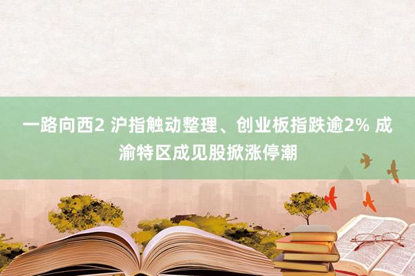 一路向西2 沪指触动整理、创业板指跌逾2% 成渝特区成见股掀涨停潮