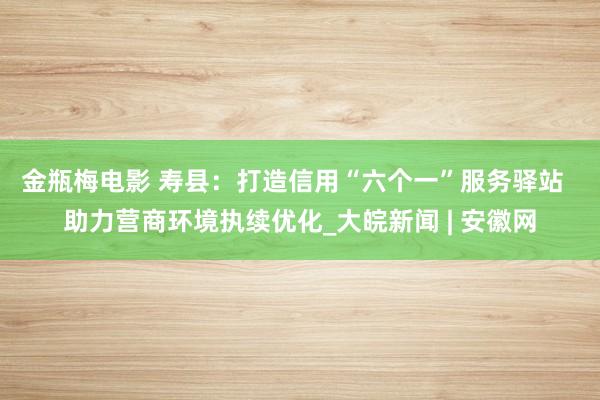 金瓶梅电影 寿县：打造信用“六个一”服务驿站  助力营商环境执续优化_大皖新闻 | 安徽网