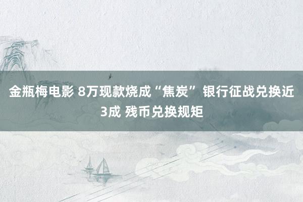 金瓶梅电影 8万现款烧成“焦炭” 银行征战兑换近3成 残币兑换规矩