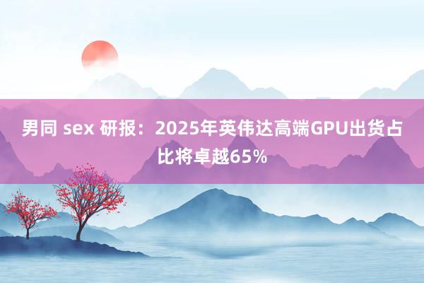 男同 sex 研报：2025年英伟达高端GPU出货占比将卓越65%