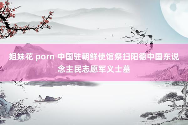 姐妹花 porn 中国驻朝鲜使馆祭扫阳德中国东说念主民志愿军义士墓