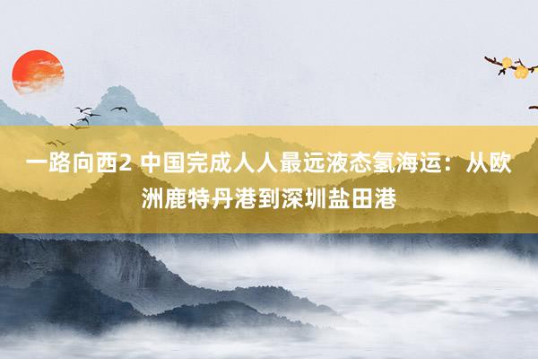 一路向西2 中国完成人人最远液态氢海运：从欧洲鹿特丹港到深圳盐田港