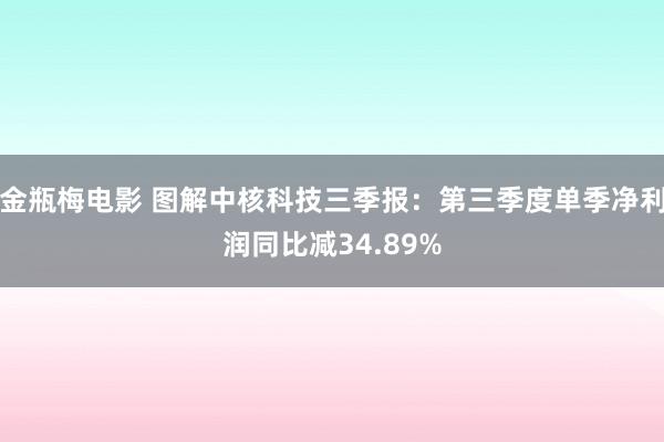 金瓶梅电影 图解中核科技三季报：第三季度单季净利润同比减34.89%