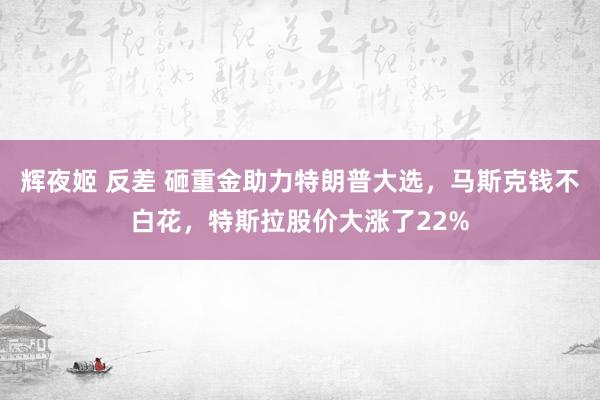 辉夜姬 反差 砸重金助力特朗普大选，马斯克钱不白花，特斯拉股价大涨了22%