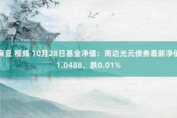 麻豆 视频 10月28日基金净值：南边光元债券最新净值1.0488，跌0.01%