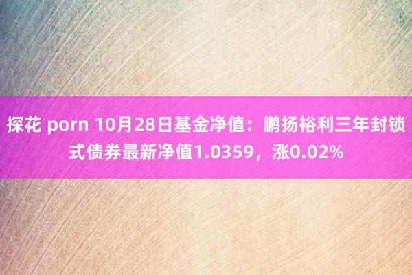 探花 porn 10月28日基金净值：鹏扬裕利三年封锁式债券最新净值1.0359，涨0.02%