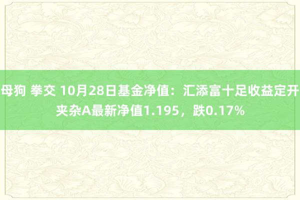 母狗 拳交 10月28日基金净值：汇添富十足收益定开夹杂A最新净值1.195，跌0.17%