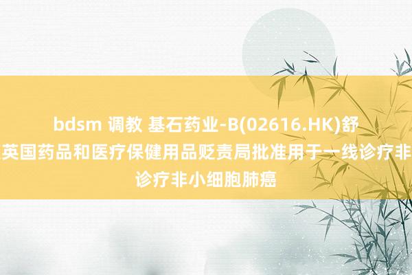 bdsm 调教 基石药业-B(02616.HK)舒格利单抗获英国药品和医疗保健用品贬责局批准用于一线诊疗非小细胞肺癌