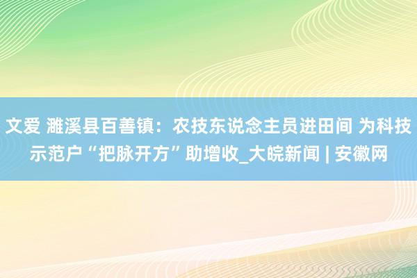 文爱 濉溪县百善镇：农技东说念主员进田间 为科技示范户“把脉开方”助增收_大皖新闻 | 安徽网