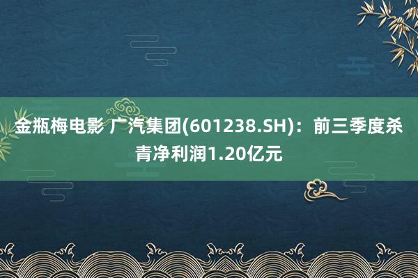 金瓶梅电影 广汽集团(601238.SH)：前三季度杀青净利润1.20亿元