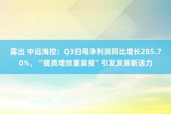 露出 中远海控：Q3归母净利润同比增长285.70%，“提质增效重禀报”引发发展新活力