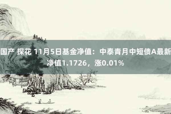 国产 探花 11月5日基金净值：中泰青月中短债A最新净值1.1726，涨0.01%