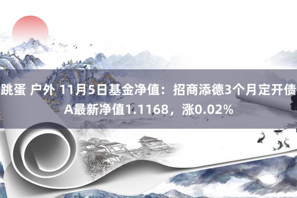 跳蛋 户外 11月5日基金净值：招商添德3个月定开债A最新净值1.1168，涨0.02%