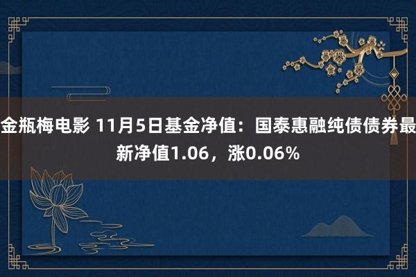 金瓶梅电影 11月5日基金净值：国泰惠融纯债债券最新净值1.06，涨0.06%