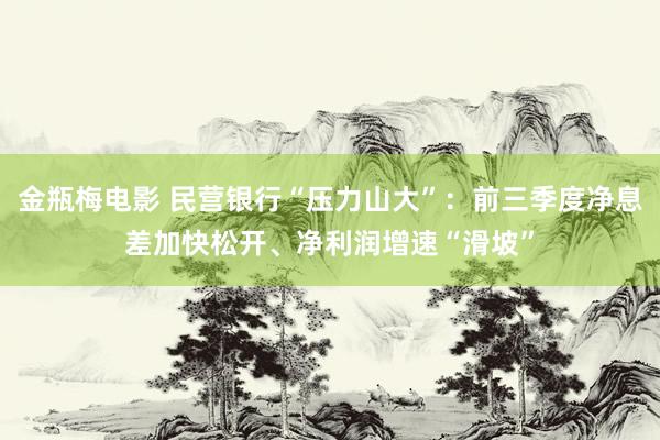 金瓶梅电影 民营银行“压力山大”：前三季度净息差加快松开、净利润增速“滑坡”