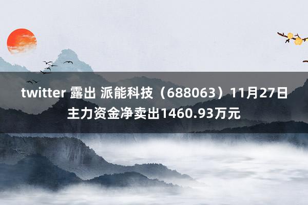 twitter 露出 派能科技（688063）11月27日主力资金净卖出1460.93万元