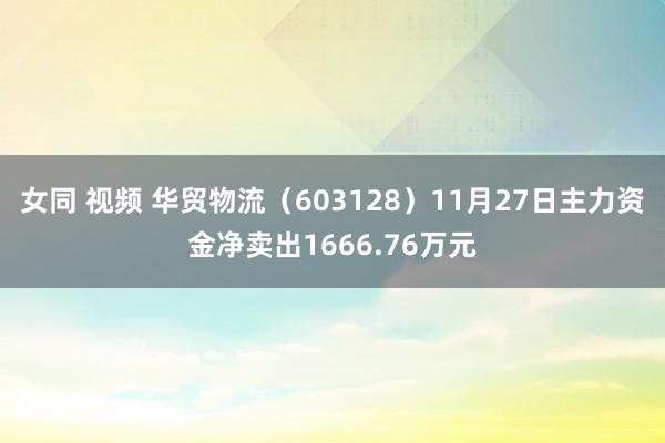 女同 视频 华贸物流（603128）11月27日主力资金净卖出1666.76万元