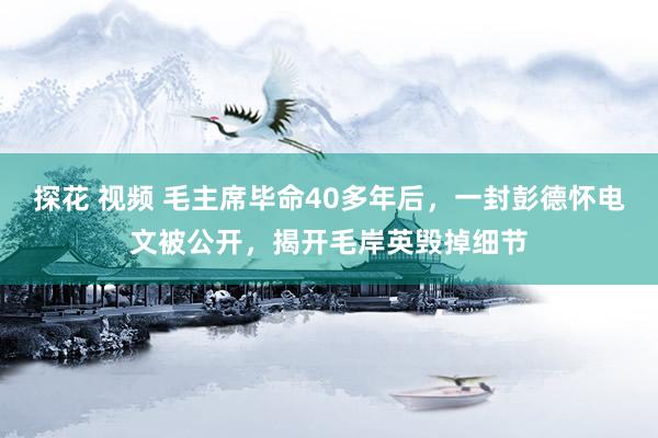 探花 视频 毛主席毕命40多年后，一封彭德怀电文被公开，揭开毛岸英毁掉细节