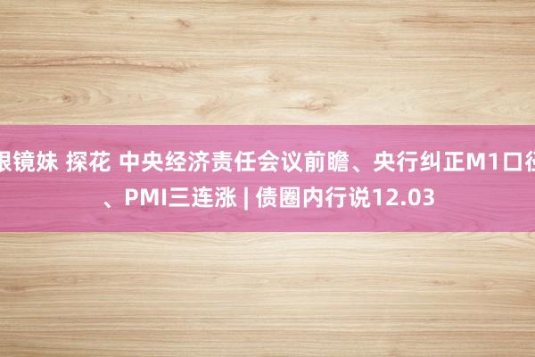 眼镜妹 探花 中央经济责任会议前瞻、央行纠正M1口径、PMI三连涨 | 债圈内行说12.03