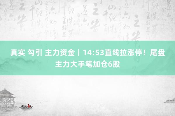 真实 勾引 主力资金丨14:53直线拉涨停！尾盘主力大手笔加仓6股