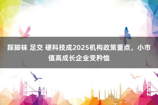 踩脚袜 足交 硬科技成2025机构政策重点，小市值高成长企业受矜恤