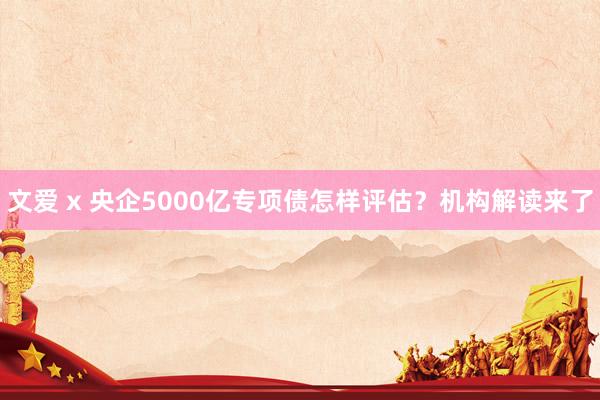 文爱 x 央企5000亿专项债怎样评估？机构解读来了