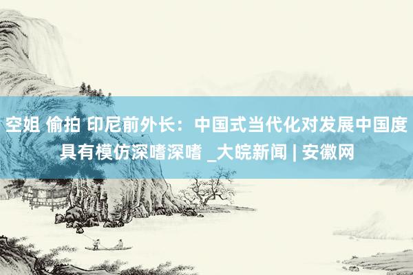 空姐 偷拍 印尼前外长：中国式当代化对发展中国度具有模仿深嗜深嗜 _大皖新闻 | 安徽网