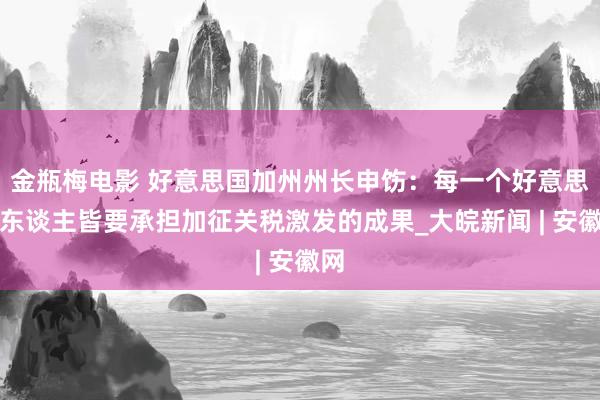 金瓶梅电影 好意思国加州州长申饬：每一个好意思国东谈主皆要承担加征关税激发的成果_大皖新闻 | 安徽网