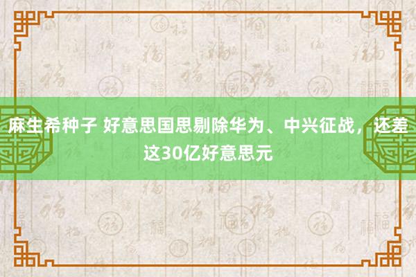 麻生希种子 好意思国思剔除华为、中兴征战，还差这30亿好意思元